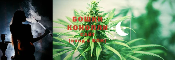 дмт Краснослободск