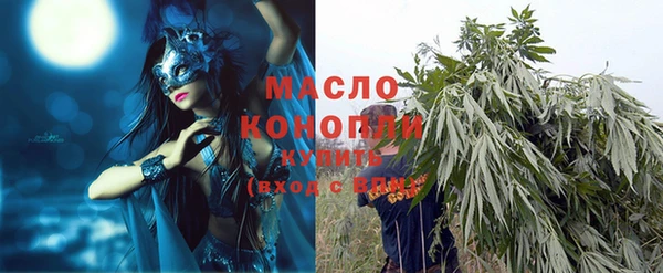 дмт Краснослободск
