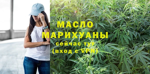 дмт Краснослободск