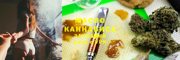дмт Краснослободск