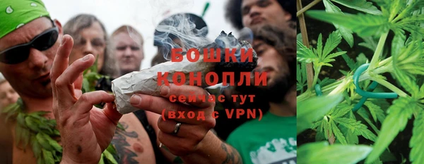 дмт Краснослободск