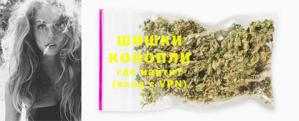 дмт Краснослободск